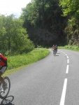 40emeRandoAlbigeoise (116).jpg