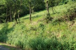 CRA 14 Juin-011.JPG