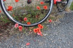 CRA 14 Juin-022.JPG