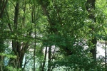 CRA 9-12 Juin-018.JPG