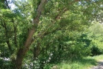 CRA 9-12 Juin-020.JPG