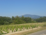 DSCN3181.JPG