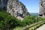 DSC02813.jpg