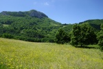 DSC02823.jpg