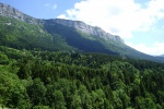DSC02844.jpg