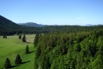 DSC02877.jpg