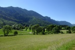 DSC02894.jpg