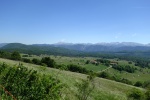 DSC02899.jpg