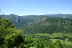 DSC02903.jpg