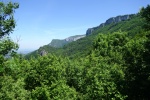 DSC02905.jpg