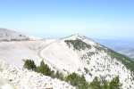 DSC02946.jpg