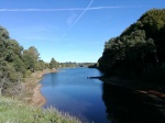 IMG_20170927_095025.jpg