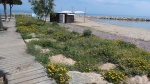 cambrils_0805 (29).jpg
