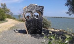 20180509_160025.jpg