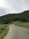 IMG_0730.jpg
