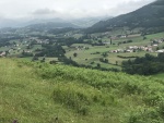 IMG_0594.jpg
