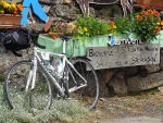 tour de france 2014 tony 152 [1024x768].jpg