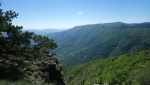 DSC_2184.jpg