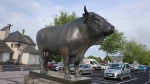 15JuinStFlourAlbi (22).jpg