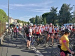 IMG_20190716_085156.jpg