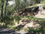 IMG_20190905_104518.jpg
