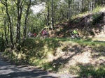 IMG_20190905_104527.jpg