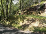 IMG_20190905_104631.jpg