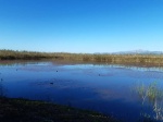 20191008_101216.jpg