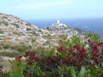 DSC00059.jpg