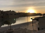 IMG_7316.jpg