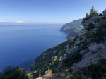 IMG_7336.jpg