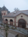 IMG_7782.JPG