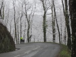 IMG_7786.JPG