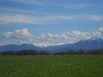 Vue sur la chaine des Pyrénées (Copier).JPG