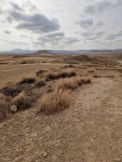 6 bardenas (16).jpg