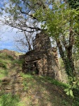 IMG_2781.jpg