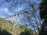 IMG_2798.jpg