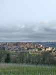 20230416_094521.jpg