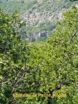Dordogne 9.jpg