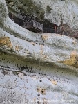 IMG_20230519_111254.jpg