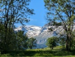 IMG-20240703-WA0005.jpg