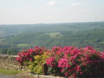 DSCN2167.jpg