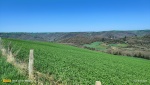 IMG20250410121548.jpg