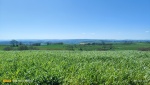 IMG20250410124225.jpg