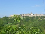 DSCN2177.jpg
