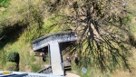 IMG20250410130949.jpg