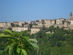 DSCN2178.jpg