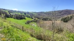 IMG20250410145059.jpg