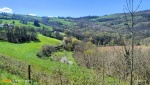 IMG20250410145104.jpg