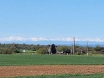 20250418_103559.jpg 20250418_103559.jpg